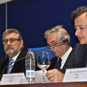 Conclusiones finales del IX CONEIA