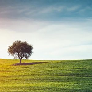 Jornada técnica “Los hábitats de interés Comunitario fuera de la RN2000 y su problemática en la evaluación ambiental». Trujillo, 10 febrero 2023