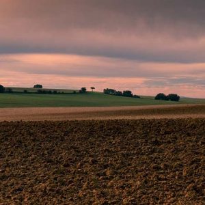 DECRETO-Ley 4/2020, de 18 de junio, de impulso y simplificación de la actividad administrativa para el fomento de la reactivación productiva en Castilla y León