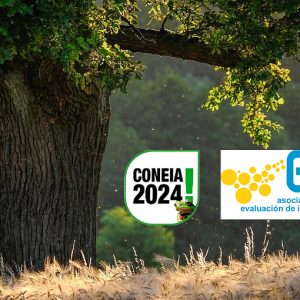 DECLARACIÓN AMBIENTAL DEL CONEIA 2024 Y COMPENSACIÓN DE LA HUELLA DE CARBONO DEL EVENTO