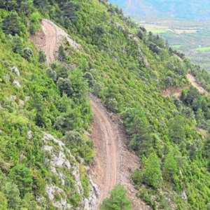 Sentencia sobre la evaluación de impacto ambiental de la apertura de accesos a la zona de pastos de La Estiva