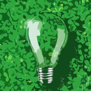 Seminario: TRANSICIÓN ENERGÉTICA Y CONSERVACIÓN DE LA BIODIVERSIDAD