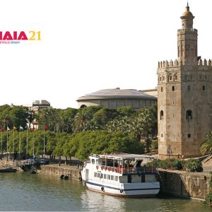 Abierto el plazo para presentar sesiones a la IAIA21